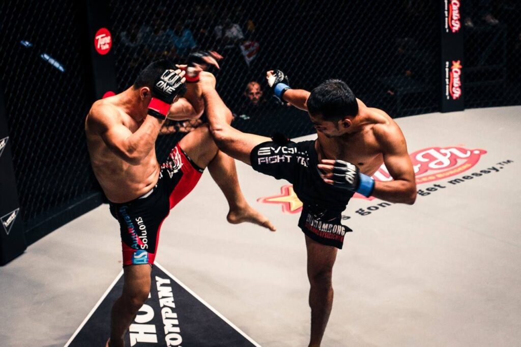Muay Thai MMA. Low Kicks Phönix- Schlagpolster 75 x 35 x 18cm K1 pro tech 