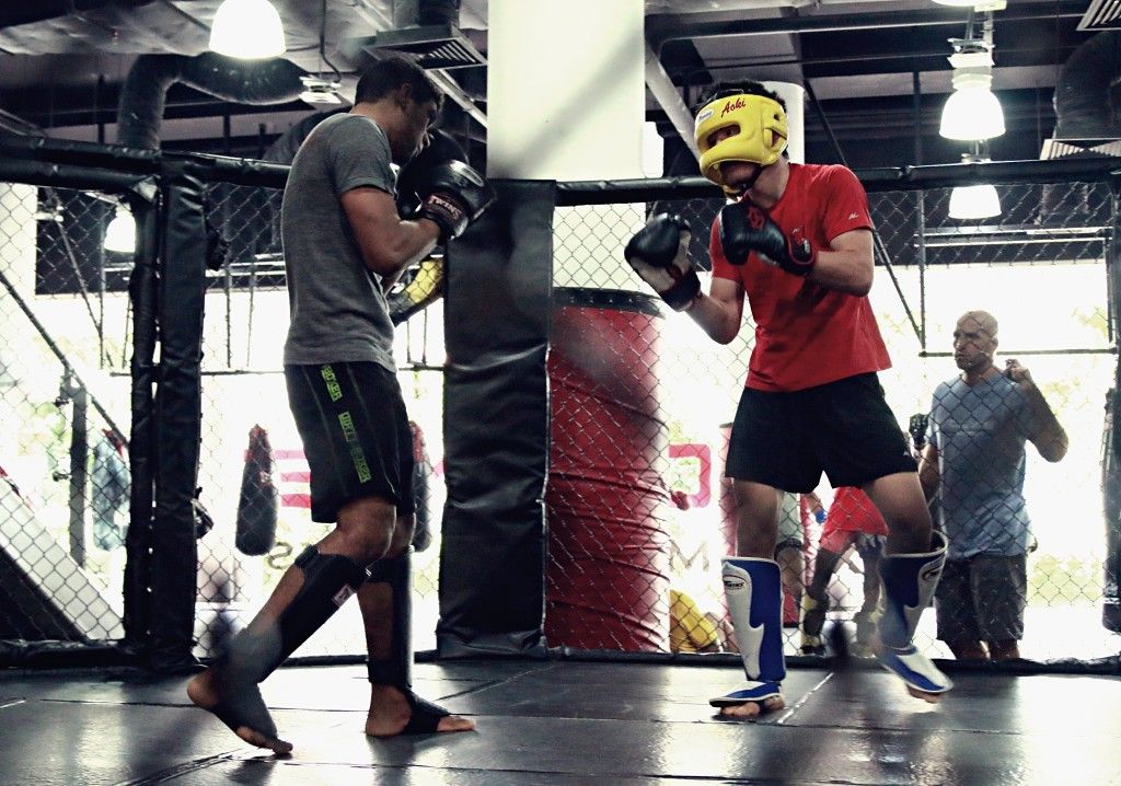9 Reasons Why Mixed Martial Arts Is The Perfect Sport