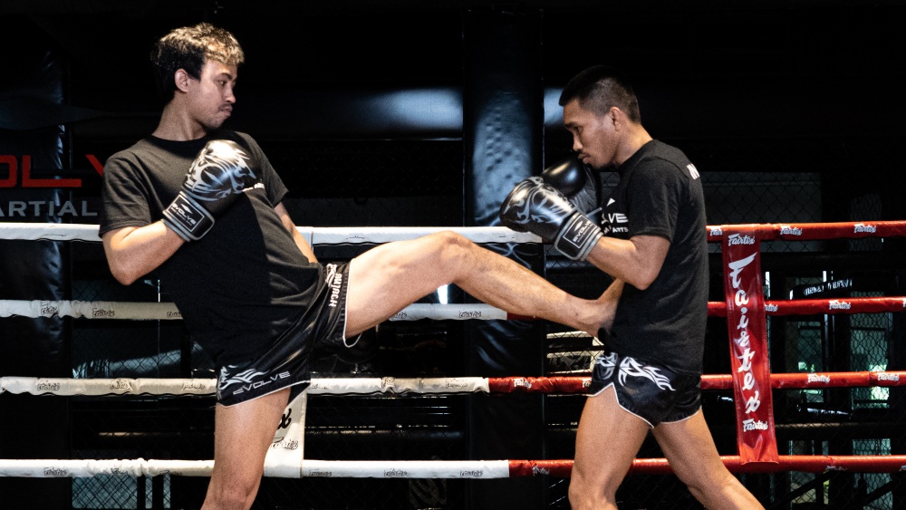 The Complete Guide To The Muay Thai Push Kick