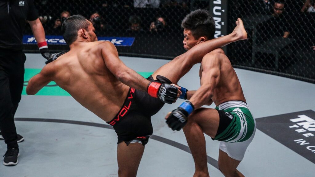 Examining The Use Of Traditional Martial Arts In Modern MMA