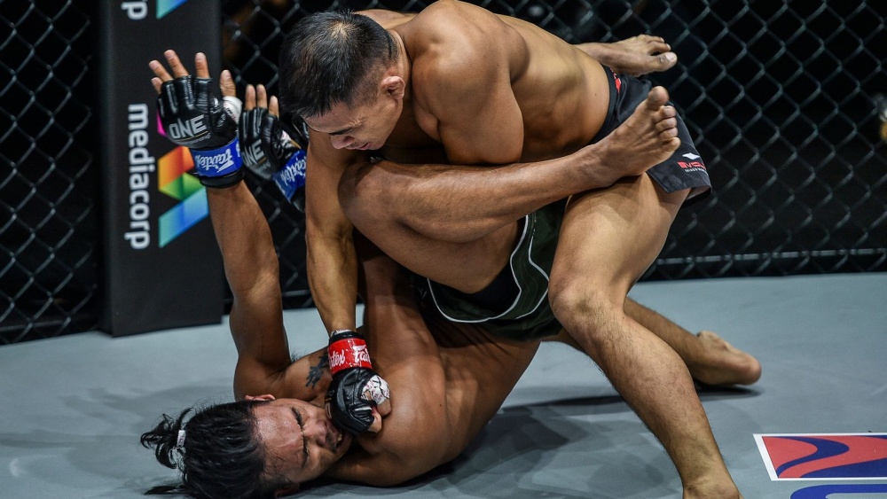 SHOGUN Fight MMA Fight Shorts BJJ Jiu Jitsu Fighting Grappling Martial Arts Muay Thai Kickboxing 