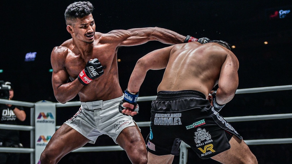What Is Mixed Martial Arts (MMA): A Beginner's Guide | Evolve Daily