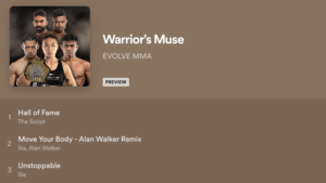 Best Spotify Playlists For Your Next Martial Arts Workout Session